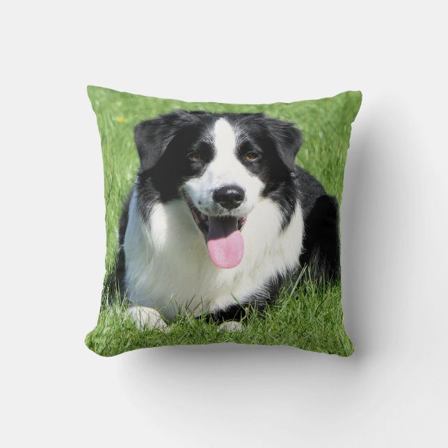 Almofada Cachorro Collie Puppy, na borda branca, preto (Frente)