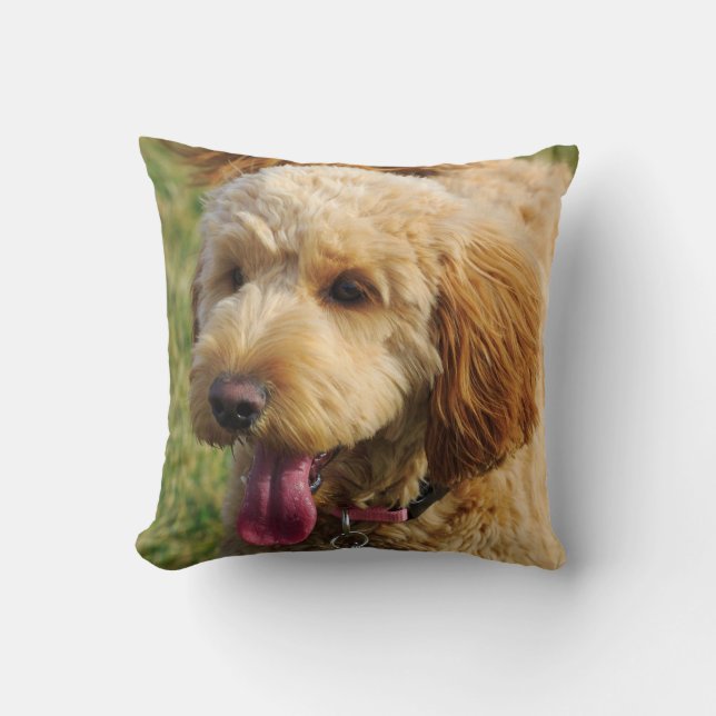 Almofada Cachorro de Goldendoododododle (Frente)