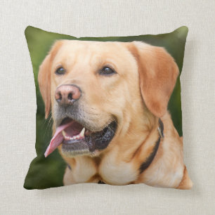 Almofada Cachorro do Retriever Labrador Amarelo - Laborató