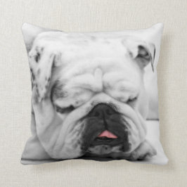 Almofada Cachorro Dormindo