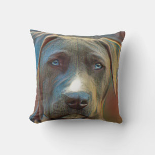 Almofada Cachorro Engraçado