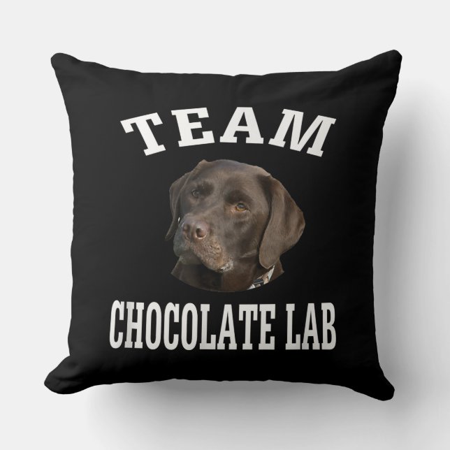 Almofada Cachorro | Equipe Chocolate Labrador Retriever (Frente)