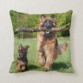 Almofada Cachorro fluffy German shepherd e Puppy de cabelo