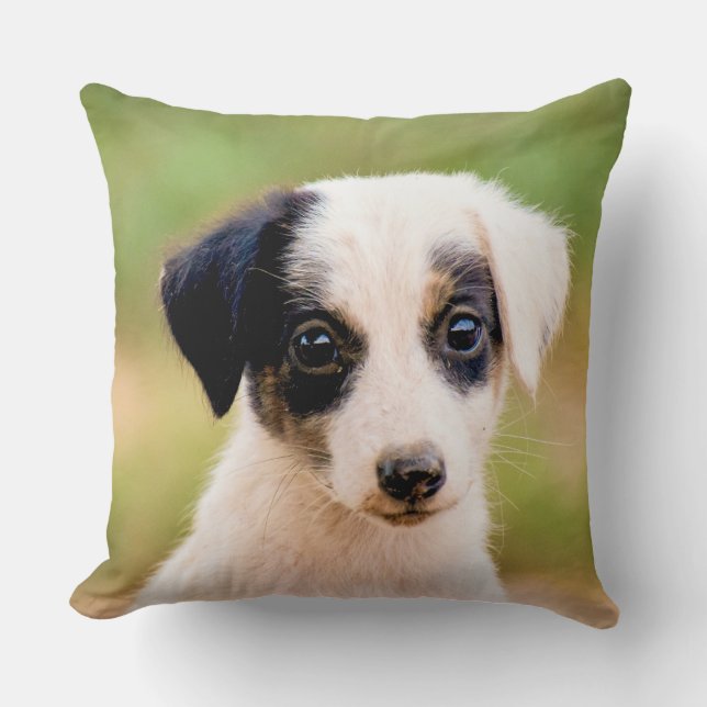 Almofada Cachorro Fofo (Frente)