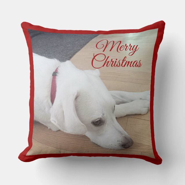 Almofada Cachorro Fofo Usando Coleira Vermelha Natal (Frente)