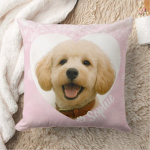 Cachorro Gato Personalizado Foto Rosa Memorial Lem