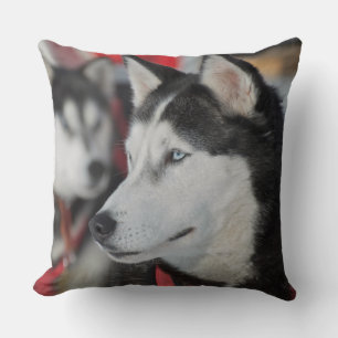 Almofada Cachorro Husky antes de uma corrida, Canadá