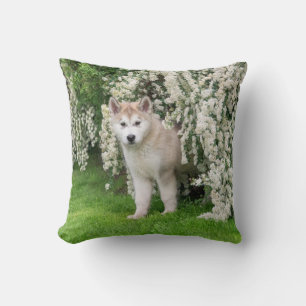 Almofada Cachorro Malamute em Flores Foto