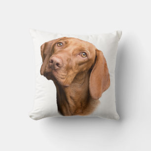 Almofada Cachorro Marrom, Ponteiro Baixo Alemão