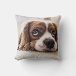 Almofada Cachorro Panelado De Olhos Tristes