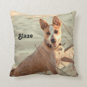 Almofada Cachorro Vermelho australiano - Heeler - na neve