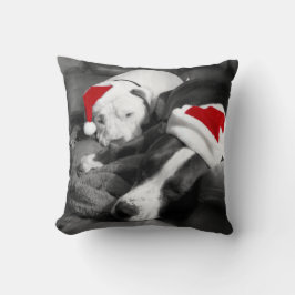 Almofada cachorros pitbull adoráveis e sonolentos de natal