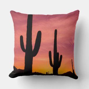 Almofada Cacto Saguaro ao nascer do sol, Arizona