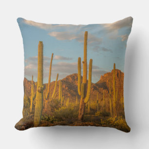 Almofada Cacto saguaro ao pôr do sol, Arizona
