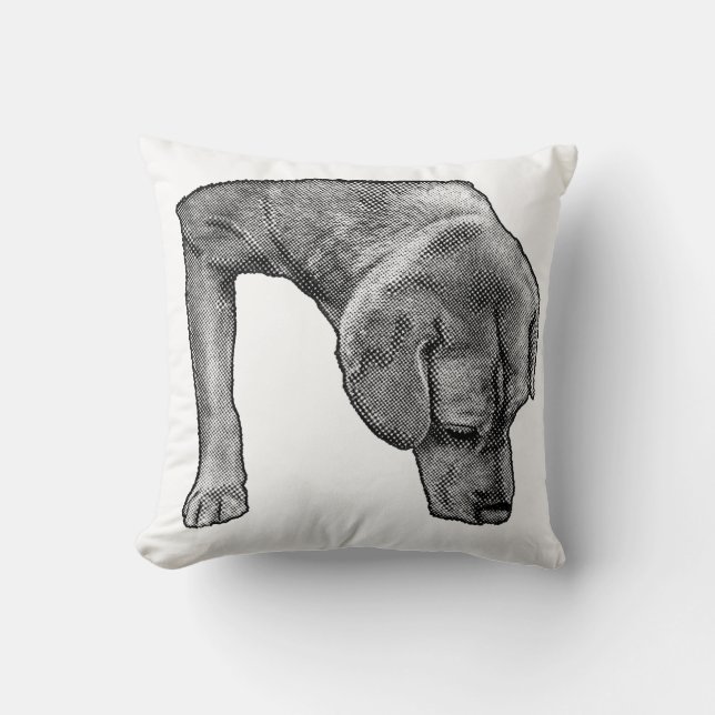 Almofada Cadeira Louca, Escoteiro Dotty (Frente)