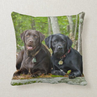 Almofada Cães Cachorros Cachorros Puppies Black Lab Chocola