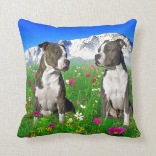 Almofada Cães rajados & azuis de Staffordshire & de pitbul