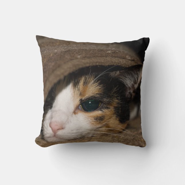Almofada Calico Taco (Frente)