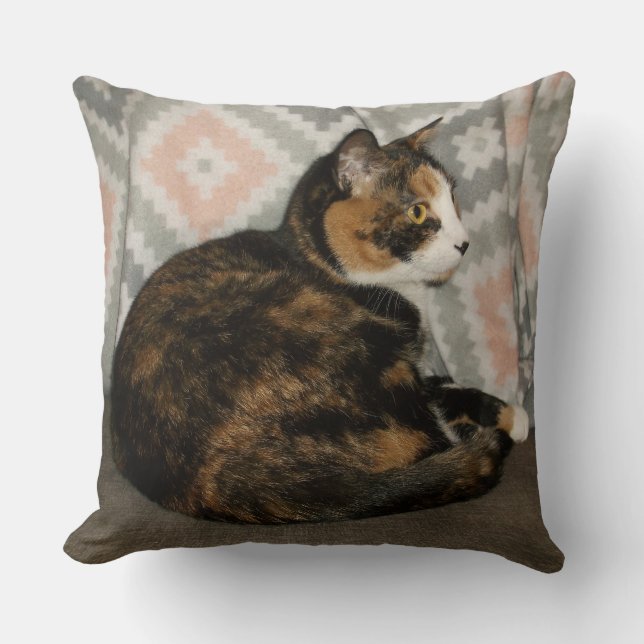 Almofada Callie Cat em Sofa (Frente)