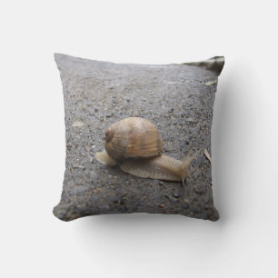 Almofada caminhada de caracol