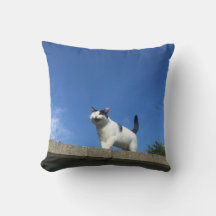 Cantando 歌 Gato Cushion う 猫 ク ョ ン.