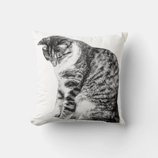 Almofada Cantos Loucos com Graça de Gato Sombreado (Frente)