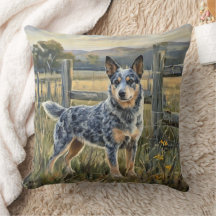 Cão Bovino Australiano