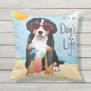 Almofada Cão de montanha de Bernese do verão