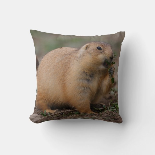 Almofada cão de pradaria (Frente)