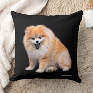 Almofada Cão de riso bonito de Pomeranian