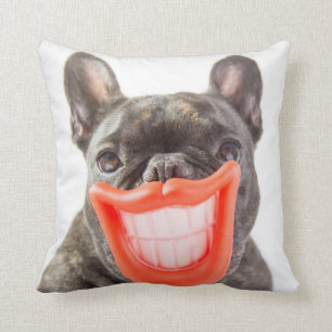 Almofada Cão de sorriso das imagens A de Getty