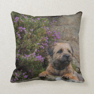 Almofada Cão de Terrier de beira no travesseiro decorativo
