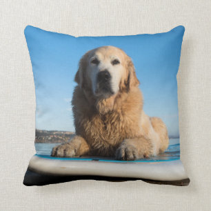 Almofada Cão do golden retriever que coloca em um conselho
