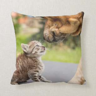 Almofada Cão & gato das imagens de Getty no amor