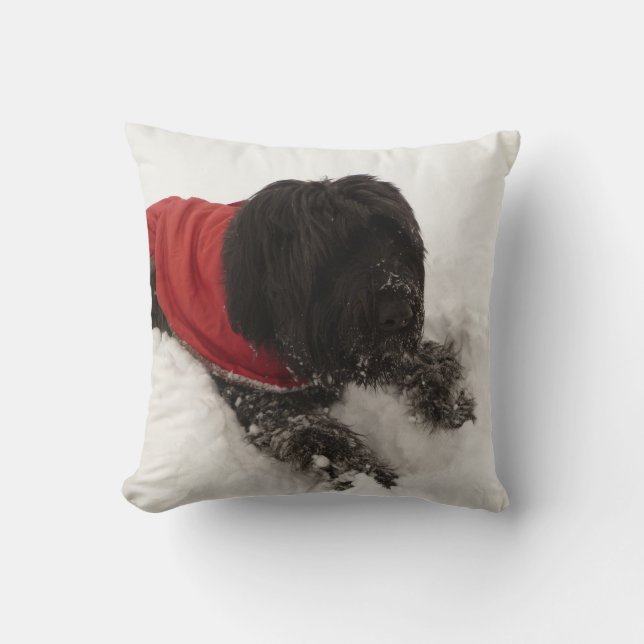 Almofada Cão na neve (Frente)