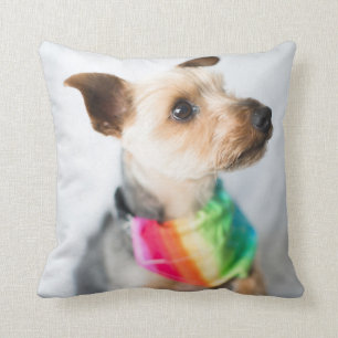 Almofada Cão Orgulho gay  Yorkshire Terrier