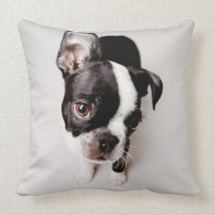 Almofada Cãozinho Edison Boston Terrier.