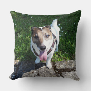 Almofada Capo von Oppenheim, Jack Russell Terrier Dog