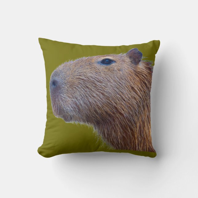Almofada Capybara (Frente)