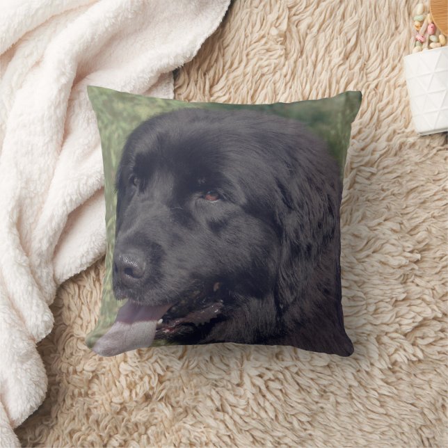 Almofada Cara de cachorro Newfoundland preto (Cobertor)