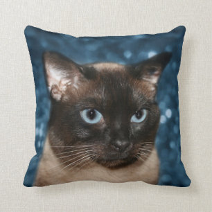 Almofada Cara do gato Siamese