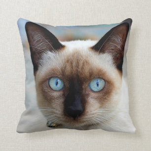 Almofada Cara Siamese do gatinho