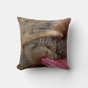 Almofada Caracol que come o travesseiro decorativo estranho