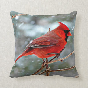 Almofada Cardeal Vermelho