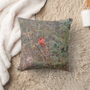 Almofada Cardeal vermelho masculino no Travesseiro decorati