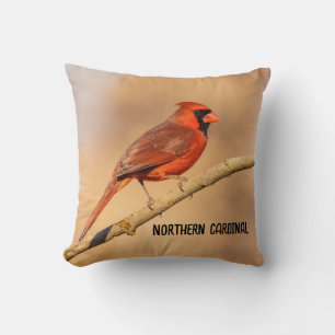 Almofada Cardinal do norte