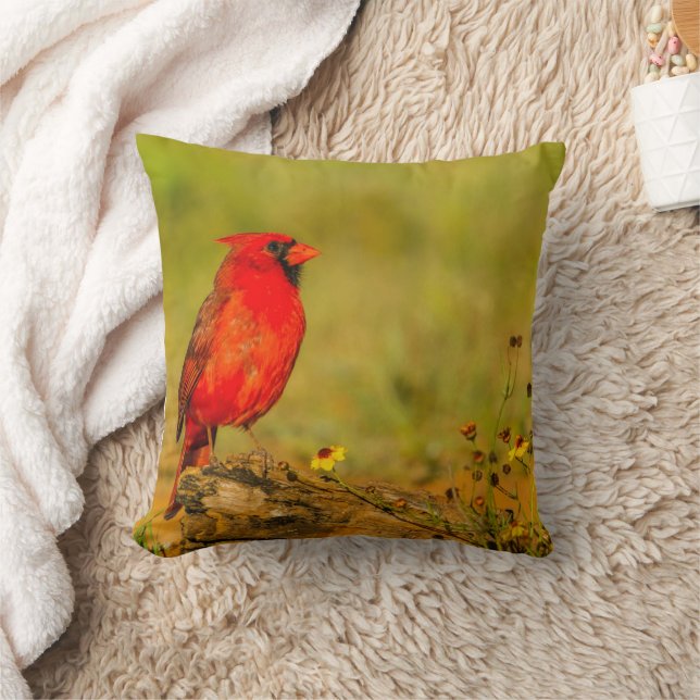 Almofada Cardinal macho em tronco (Cobertor)