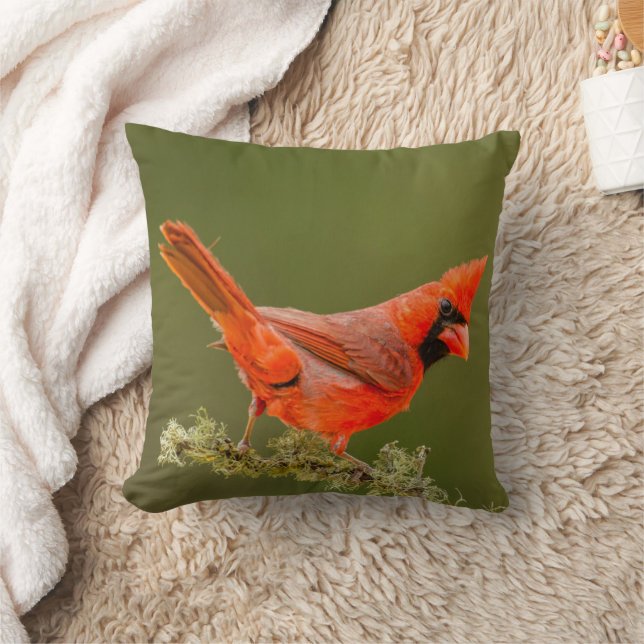 Almofada Cardinal macho no galho (Cobertor)