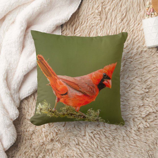 Almofada Cardinal macho no galho (Cobertor)