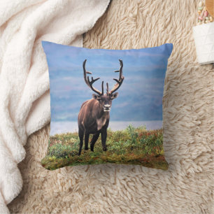 Almofada Cariou Reindeer Parque Nacional Denali, Alasca